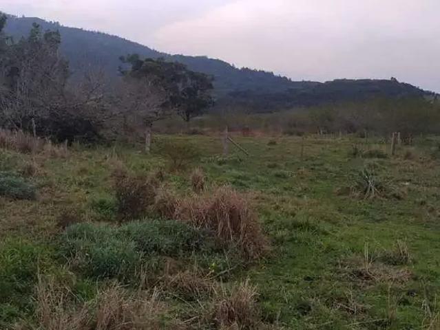 Sítio / Chácara para Venda em Viamão/RS Itapuã