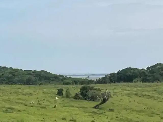 Sítio / Chácara para Venda em Viamão/RS Itapuã