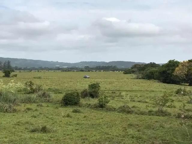 Sítio / Chácara para Venda em Viamão/RS Itapuã