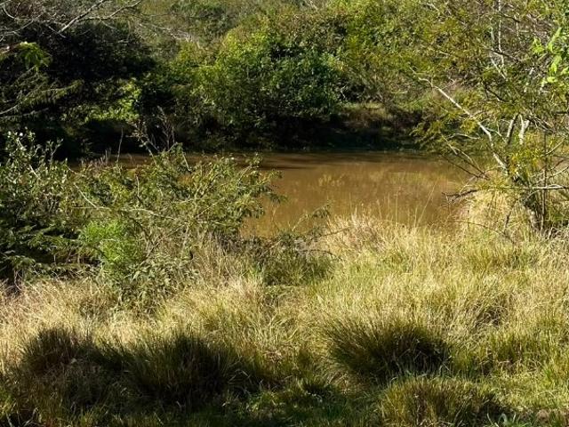 Sítio / Chácara para Venda em Viamão/RS Itapuã