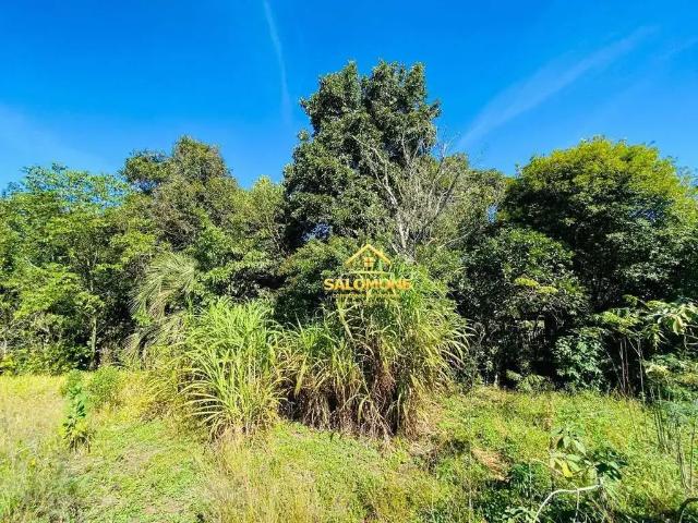 Sítio / Chácara para Venda em Viamão/RS Morro Grande 2 Quartos