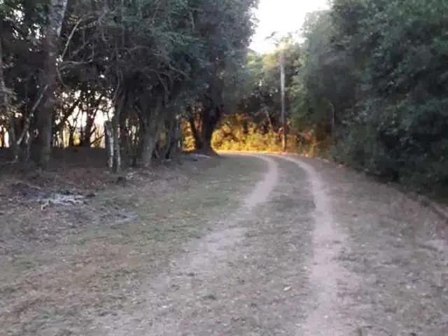 Sítio / Chácara para Venda em Viamão/RS Passo da Areia 1 Quartos