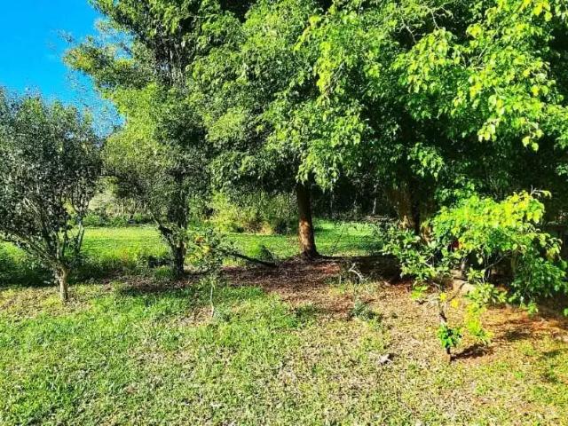 Sítio / Chácara para Venda em Viamão/RS Vila Elsa 1 Quartos
