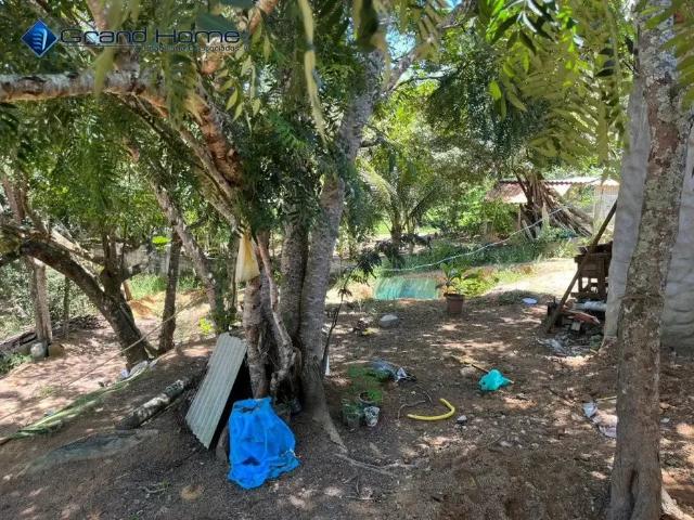 Sítio / Chácara para Venda em Vila Velha/ES Área Rural de Vila Velha 4 Quartos