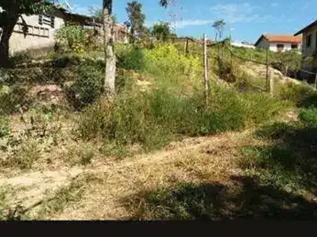 Sítio / Chácara para Venda em Vinhedo/SP Chácaras São Bento 6 Quartos