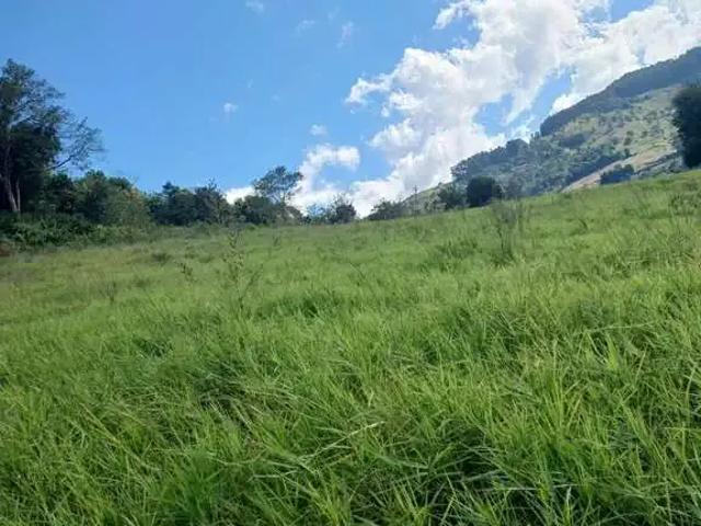 Sítio / Chácara para Venda em Xavantina/SC Centro