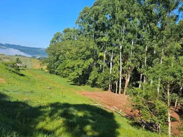 Sítio / Chácara para Venda em Xaxim/SC Centro