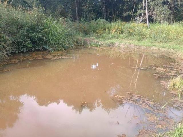 Sítio com 3 dormitórios à venda, 10000 m² por R$ 175.000,00 Itaguara Itaguara/MG