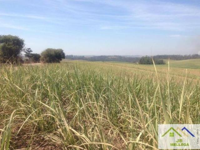 Sítio com 3 dormitórios à venda, 1076416 m² por R$ 9.500.000,00 Santa Luzia Charqueada/SP