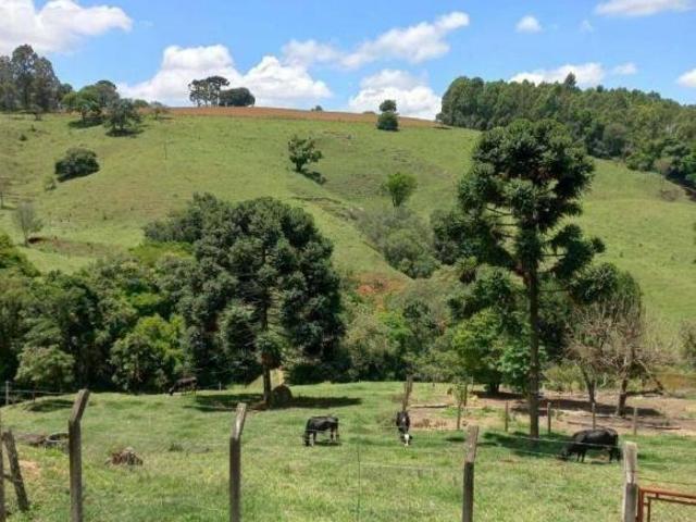 Sítio com 3 dormitórios à venda, 120000 m² por R$ 950.000,00 Área Rural Santa Rita de Caldas/MG