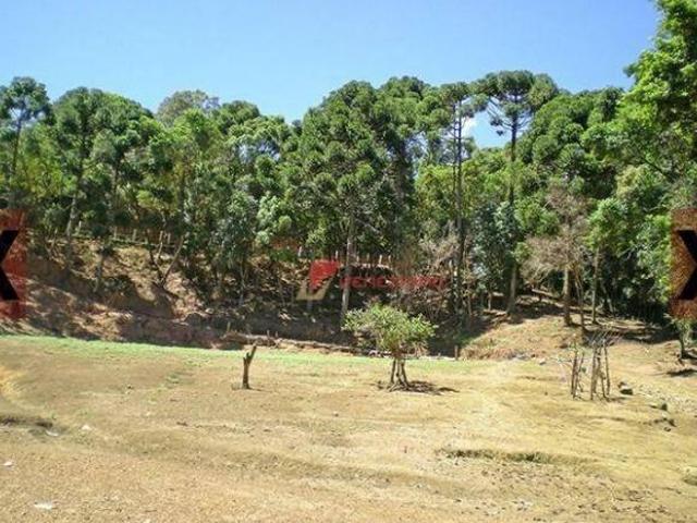 Sítio com 3 dormitórios à venda, 8833 m² por R$ 790.000,00 Centro Monte Verde/MG