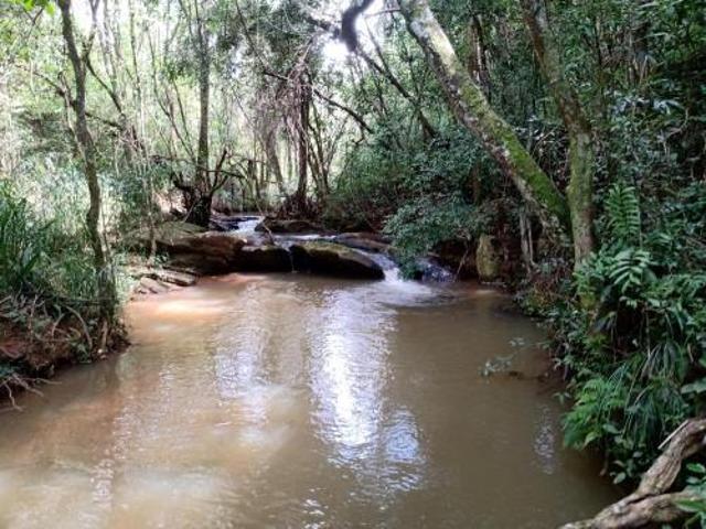 Sítio com 11 mil metros quadrados e pequena cachoeira cod 07