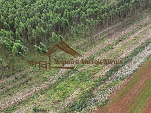 Sitio com 12 alqueires na região de Cesário Lange SP
