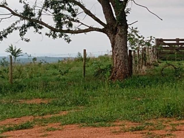 Sítio com 12 Alqueires ótimo para criação de gado. 7 km d Asfalto, 28 km d ANGATUBA, não tem casa