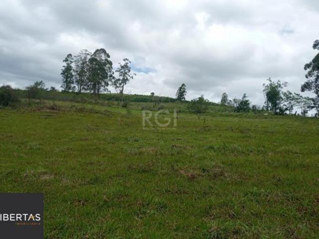SITIO COM 12 HECTARES EM GUAIBA RS