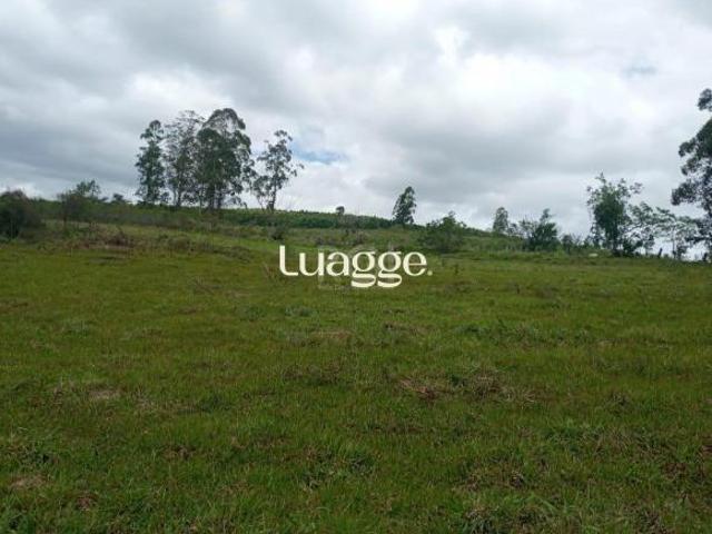 SITIO COM 12 HECTARES EM GUAIBA RS