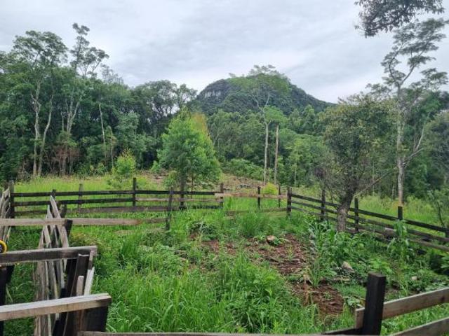 Sítio com 12 Hectares em Três Coroas/RS na Localidade de Canastra Alta