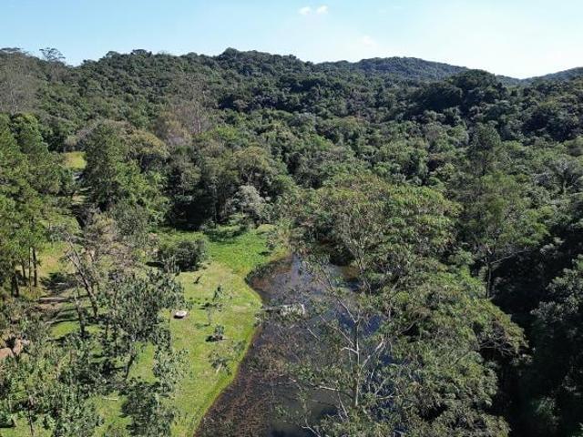 Sítio com 169.000 m² em São Lourenço da Serra COD: 5681 F: 11 97302 9229 CESAR