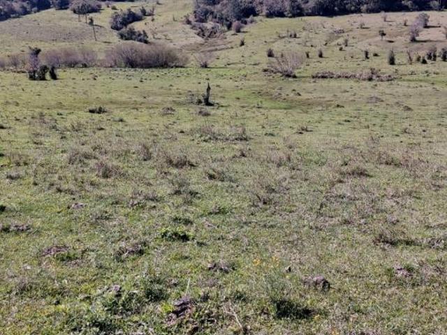 Sitio com 18,5 Hectares em Taquara/RS na Localidade de Entrepelados com Água