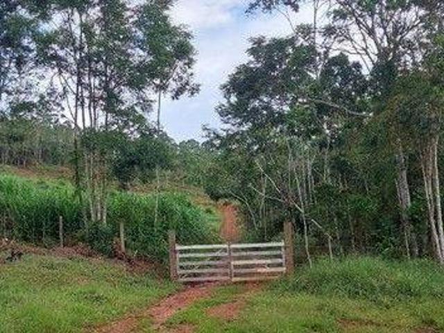 Sítio com 1 dormitório à venda, 180000 m² por R$ 420.000,00 Centro Pedro Teixeira/MG