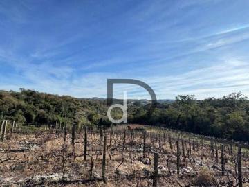Sítio à venda, 23000 m² por R$ 990.000,00 Engenho Seco Louveira/SP