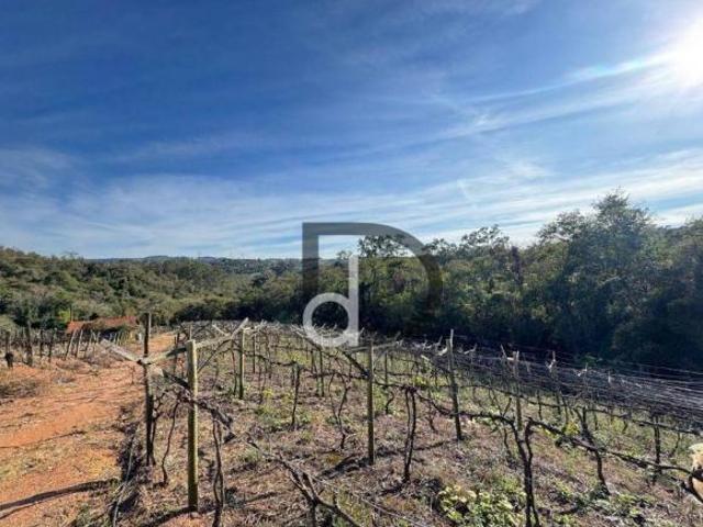 Sítio com 1 dormitório à venda, 23000 m² por R$ 991.000,00 Engenho Seco Louveira/SP