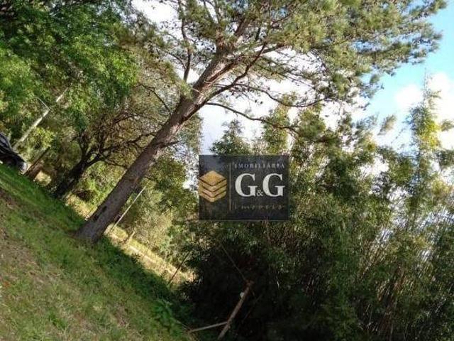 Sítio com 1 dormitório à venda, 5000 m² por R$ 276.000,00 Itapuã Viamão/RS
