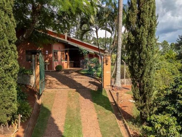 Sitio com 10.000 pés de café a venda 4,9Ha, Morungaba/SP