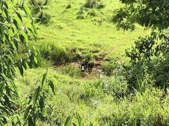 Sítio à venda, 210000 m² por R$ 349.900,00 São José Tabuleiro/MG