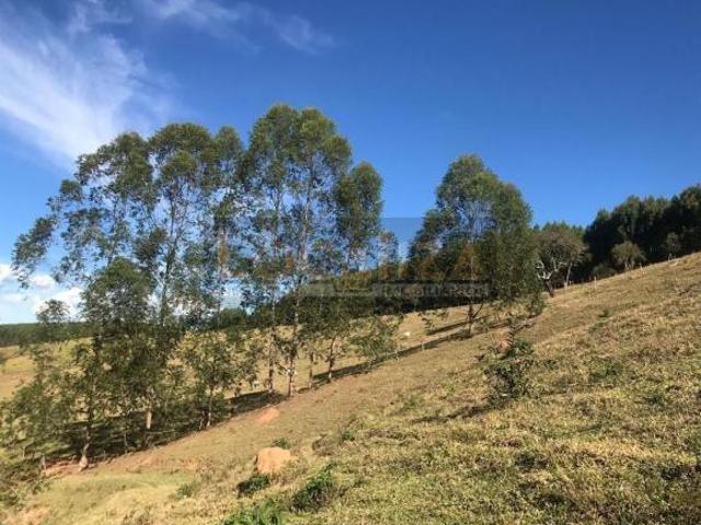 Sítio com 2 dormitórios à venda, 180000 m² por R$ 1.385.000,00 Centro Cunha/SP