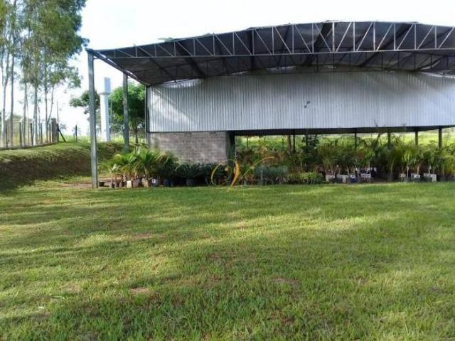 Sítio com 2 dormitórios à venda, 12400 m² por R$ 1.300.000,00 Zona Rural Tanabi/SP