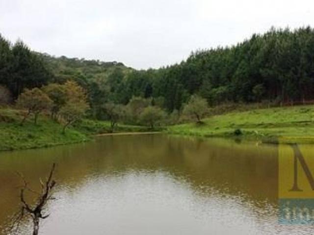 Sítio com 2 dormitórios à venda, 333960 m² por R$ 7.000.000,00 Areia Branca Mandirituba/PR