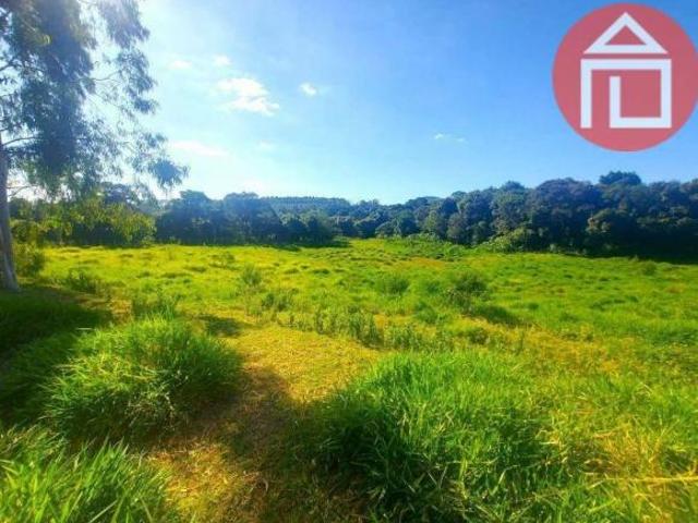 Sítio com 2 dormitórios à venda, 43000 m² por R$ 3.000.000,00 Bairro do Menin Bragança Paulista/