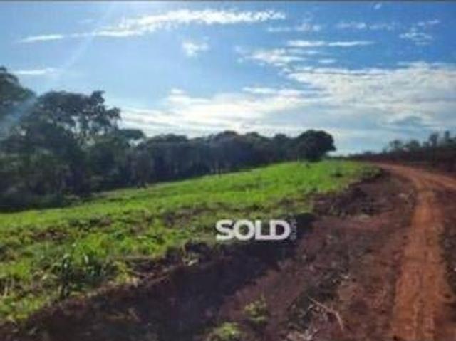 Sítio com 2 dormitórios à venda, 77300 m² por R$ 750.000,00 Zona Rural Nuporanga/SP