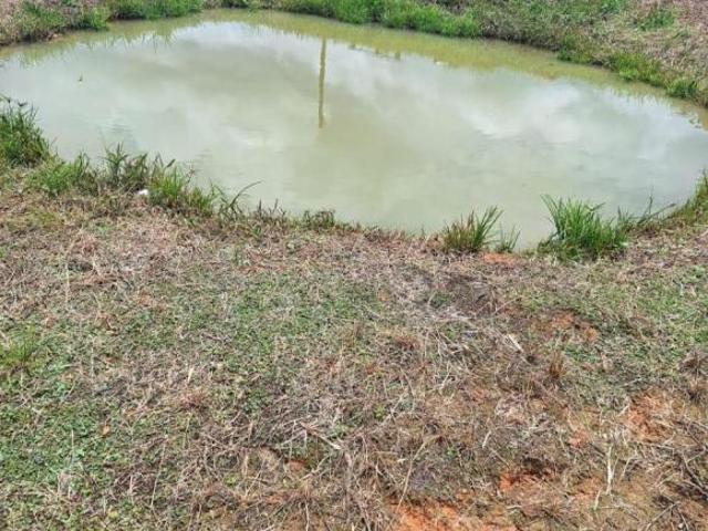 SÍTIO COM 31 HECTARES À VENDA EM PASSA TEMPO MG