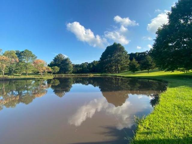 Sitio com 33 Hectares em Três Coroas/RS na Localidade de Serra Grande
