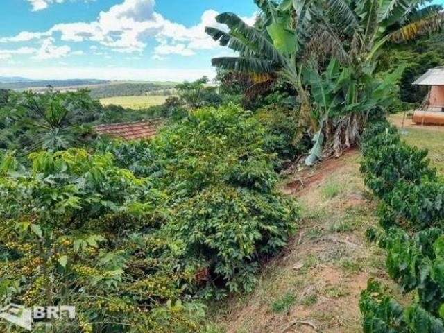 Sitio com 36.000 m2 em Campestre MG
