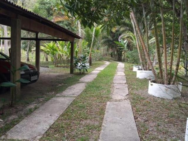 Sítio com 7,2 hectares em Jacupiranga