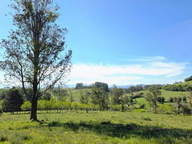 SÍTIO COM 7 HECTARES À VENDA EM TAQUARA/RS – MORRO DO MEIO