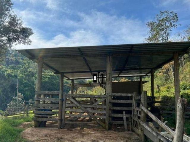 Sítio com 4 dormitórios à venda, 140000 m² por R$ 600.000,00 Centro Lima Duarte/MG