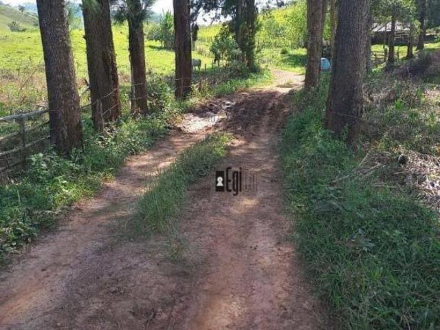 Sítio com 4 dormitórios à venda, 440000 m² por R$ 880.000,00 Distrito de Mantiqueira Santos Dumo