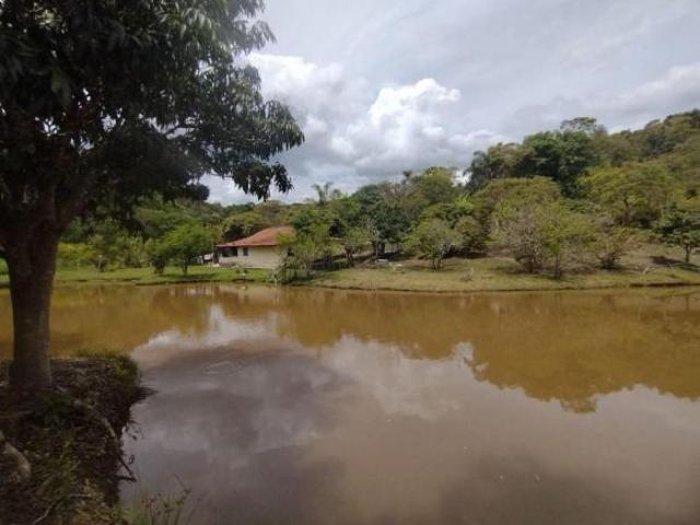 Sítio com 4 dormitórios à venda, 70000 m² por R$ 780.000 Caeté /MG