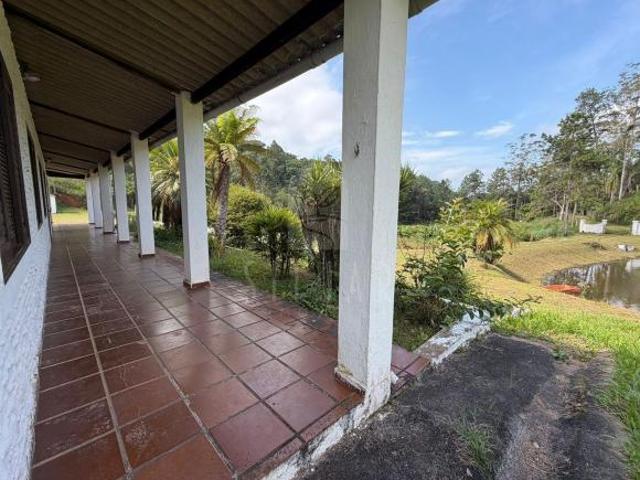 Sítio com 5 alqueires, rico em água e natureza preservada