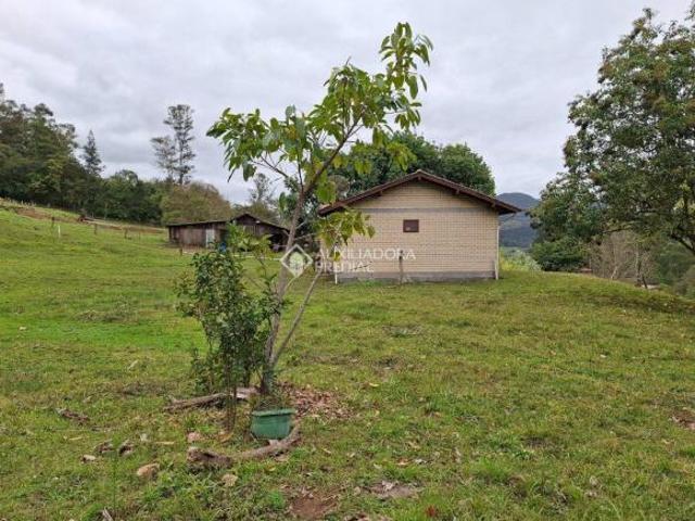 Sítio com 5 hectares em Riozinho/RS