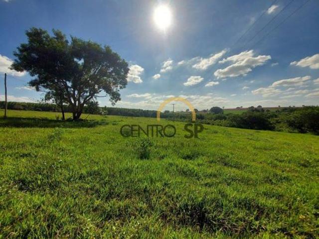 Sítio com 6,18 Alqueires paulista para venda em Área Rural de Iacanga, Iacanga SP