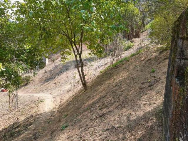 Sitio com 6 alqueires Tapiraí