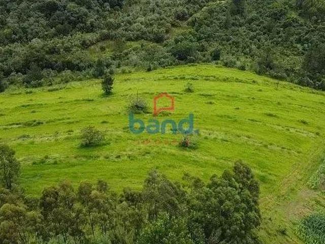 Sítio com 6 dormitórios à venda, 13 alqueires por R$ 3.000.000 Zona Rural Itatinga/SP
