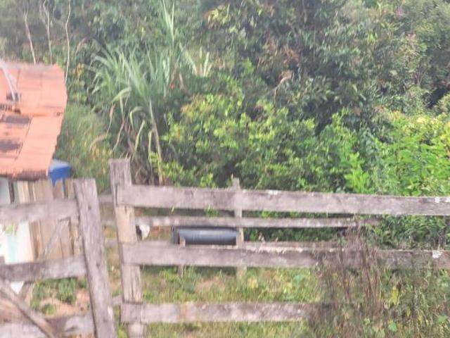 Sitio com área de 10 hectares em Rio Manso