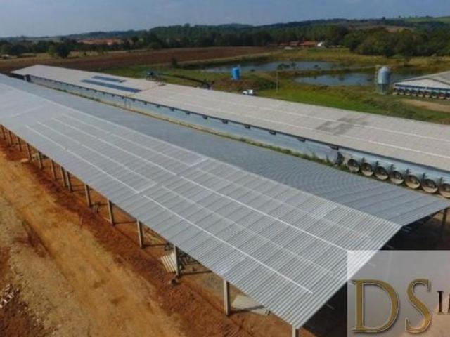 SÍTIO COM GRANJA MODERNA A VENDA EM CESÁRIO LANGE/SP, ÁREA COM 8 ALQUEIRES, 6 BARRACÕES MODERNOS, GR