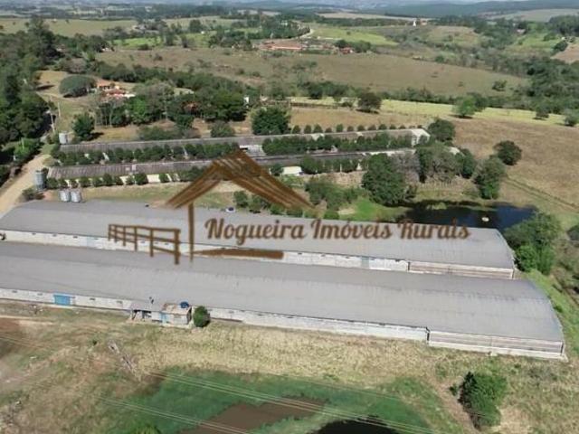 Sitio com granjas, 200 mil aves